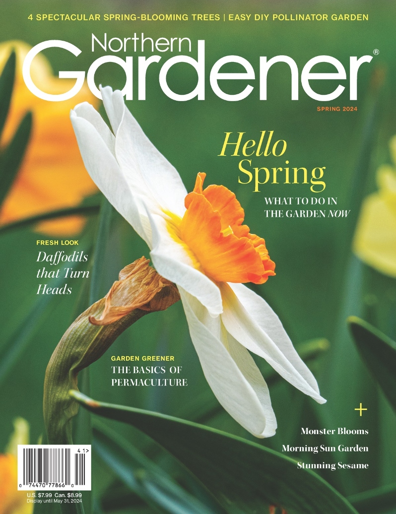Northern Gardener - Single Issue